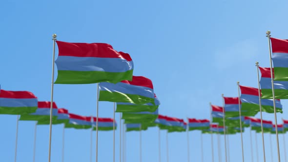 Karelia Row Of Flags 3D Animation alt