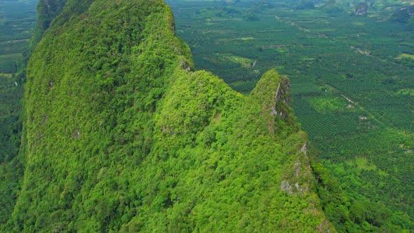 Drone fly over mountains, palm trees and coconut groves