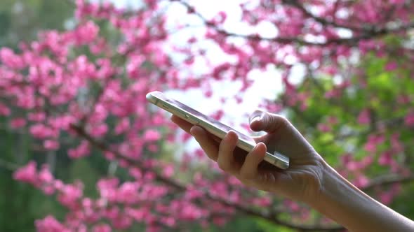 Use Smartphone In Park