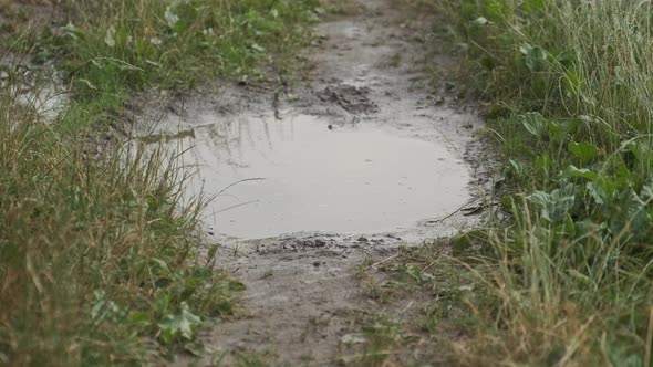 Close-up of Running Legs Stepping on Small Rain Puddle