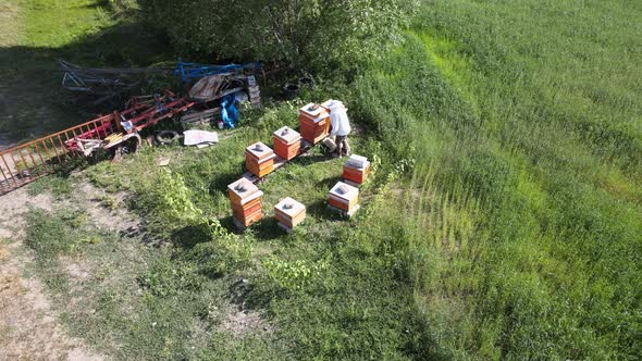 aerial Beekeeper