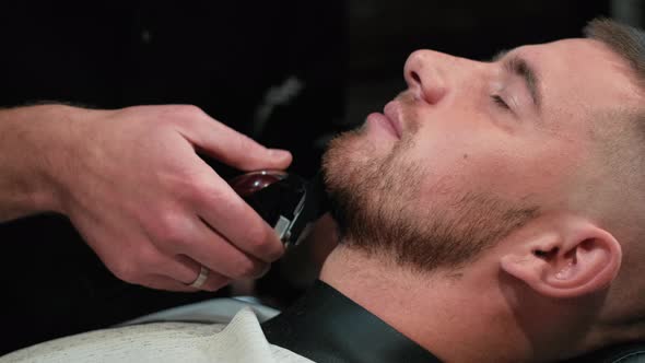 Barber Shaves the Client's Beard on a Chair. Beard Haircut. Barber To Shave a Beard with an Electric