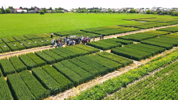 A Group of Farmers are Able to Continue Cultivating Varieties of Wheat and Wheat on Previous