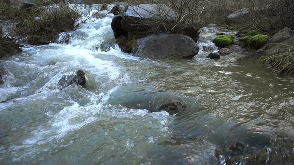 Spring Mountain River