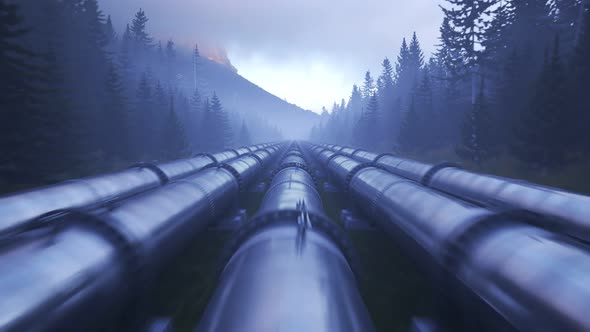 A pipeline running through forest clearance transport fuel over long distances.