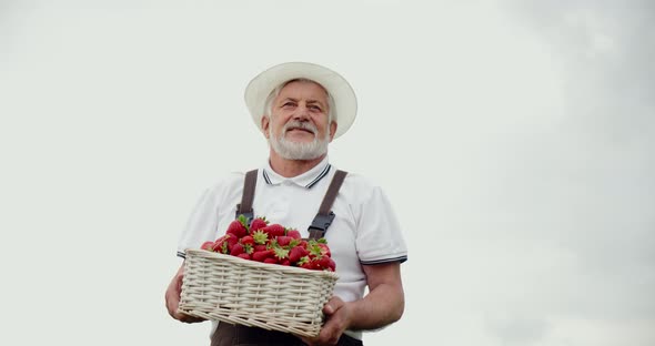 Smiling Senior Man Farmer Holding Basket with Strawberries