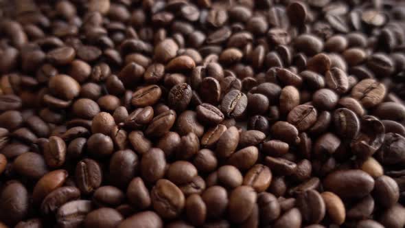 Coffee Beans