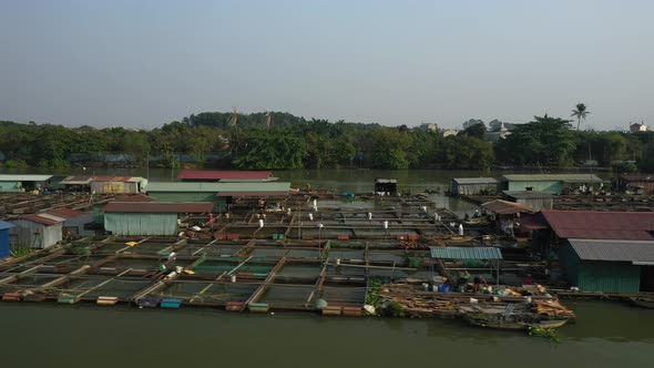 Floating fish farming community in Bien Hoa on the Dong Nai river, Vietnam on a sunny day. Drone tra