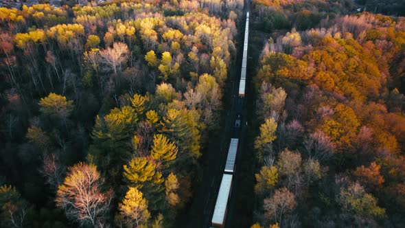 End of freight train passes through scenic woodland corridor in autumn as seasonal trees change colo