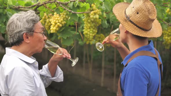 Father and son celebrating harvesting grapes in vineyard