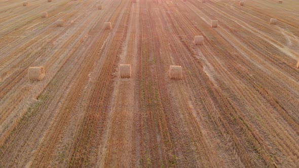 Aerial Straw Bales in the Field in the Evening