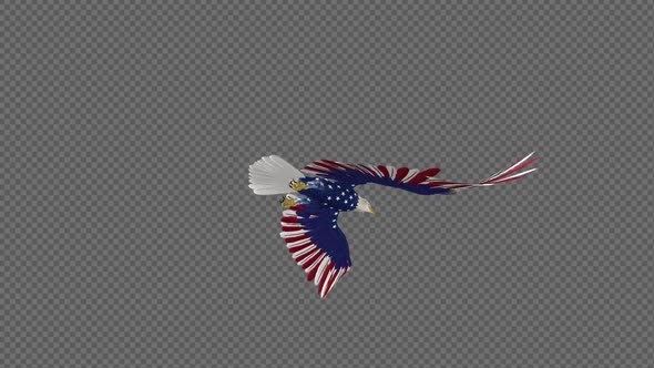 American Eagle - USA Flag - Flying Loop - Down Angle 4K