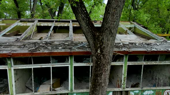 Abandoned old buildings in the forest