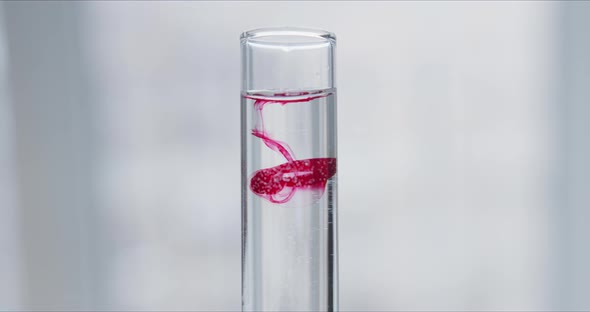 Scientist with Pipette Analyzes Red Colored Liquid To Extract the DNA