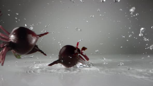 Beets falling on water surface. Slow Motion.