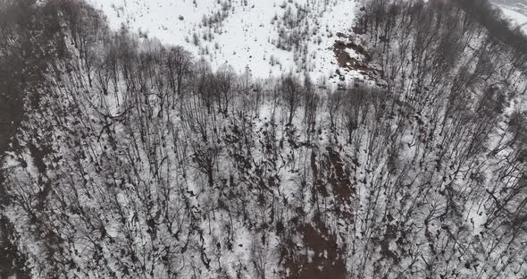 Aerial view of beautiful snowy mountains in Pasanauri, Georgia