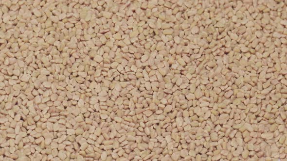 Fenugreek Seeds Background