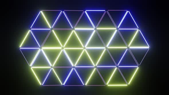 Disco Neon Light