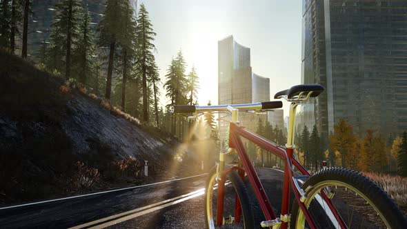 City Bicycle on the Road alt