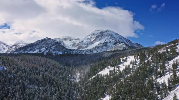 Aerial view over canyon with wind blowing snow through the trees