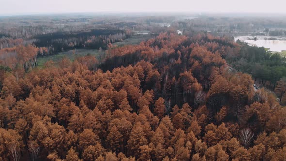 Epic Aerial View of Wild Fire