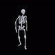 Skeleton Walking - VideoHive Item for Sale