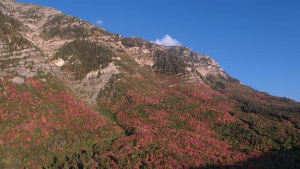 Aerial view of colorful foliage on mountain side agains blue sky