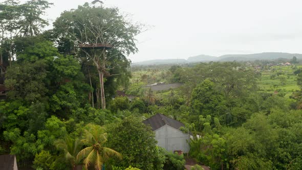 Aerial View of Watch Tower and Hanging Bridge in the Canopy of Tropical Tree