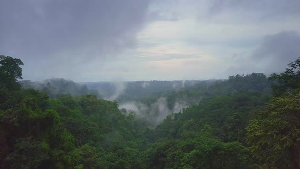 Flying over foggy rainforest in Oso Peninsula, Costa Rica, Aerial Push