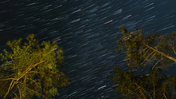 Star Trails In Night Sky