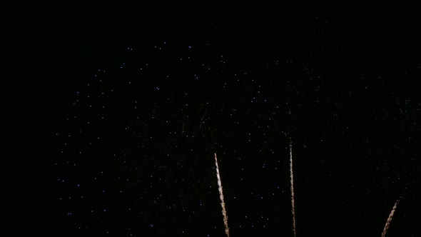 Colorful Firework display at night on sky background