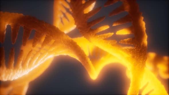 Loop Double Helical Structure of Dna Strand Close-up Animation alt