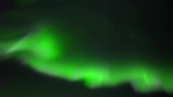 Aurora Borealis Lights Northern Alberta, Resembling To Alaska Lights