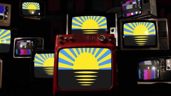 Flag of Donetsk Oblast on Retro TVs. 