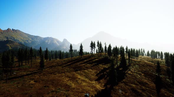 Aerial View of Canadian Rockies Mountain