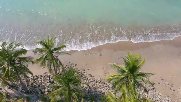 Flying over palm trees and sandy beach while waves crashing on the shore in a tropical island. Top d