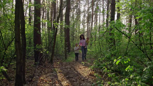 A Mother with Two Children Walks in the Woods