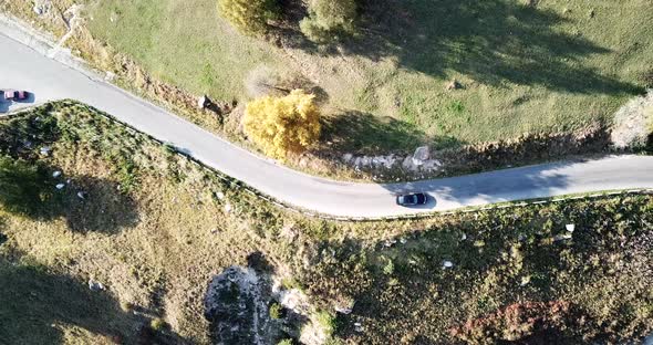 The Car Is Driving on a Road in the Forest