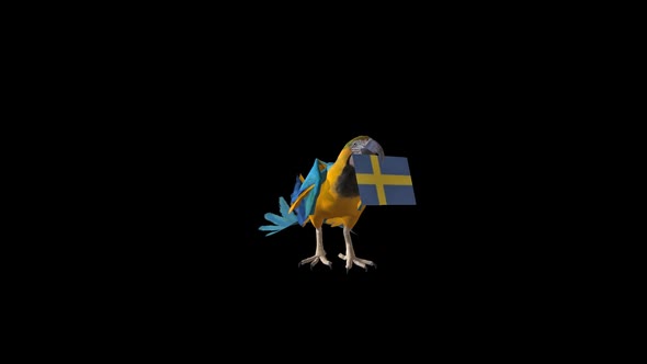 Parrot Carrying Flag - Sweden