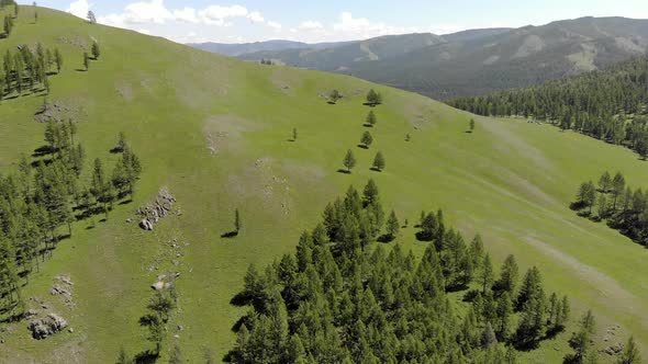 Green Meadows in The Sparsely Wooded Between Forest Covered Hills with Aerial View