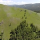 Green Meadows in The Sparsely Wooded Between Forest Covered Hills with Aerial View - VideoHive Item for Sale