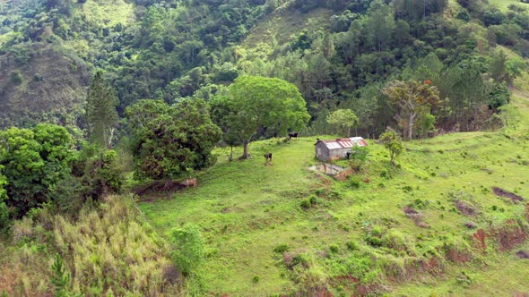 Bird's Eye View Of A Barn House At The Top Of Green Mountain Range Of Sierra De Ocoa In Dominican Re