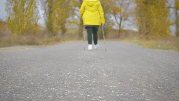 Senior Woman Making Nordic Walking in the Autumn Forest. Nordic Walking Race on Autumn Trail