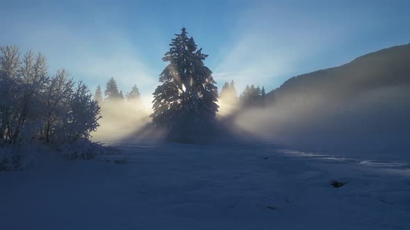 Beautiful winter morning with fresh snow and fog