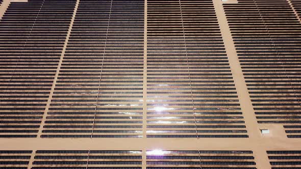 Sun Light Is Reflecting in of Straight Rows of Solar Panels at Energy Farm, USA