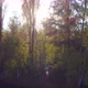Drone View of the Sun Behind Trees at Sunset or Sunrise Over the Forest - VideoHive Item for Sale