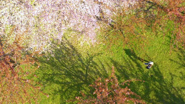 Top Shot view of Young woman with long hair enjoys spring garden in bloom. Happy girl running