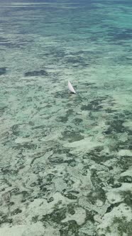 Boat Boats in the Ocean Near the Coast of Zanzibar Tanzania Slow Motion Vertical Video