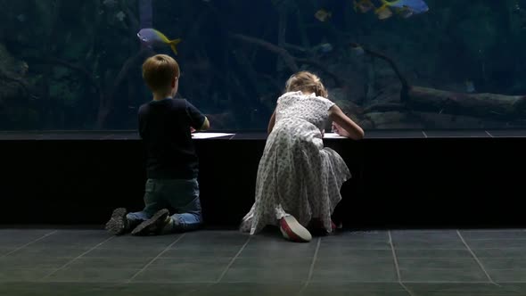 Kids Drawing Aquarium Fishes alt