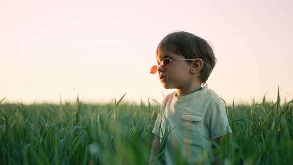 Cute Baby Boy in Red Sunglasses Standing on Fresh Green Meadow